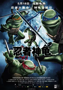 忍者神龟(2007)