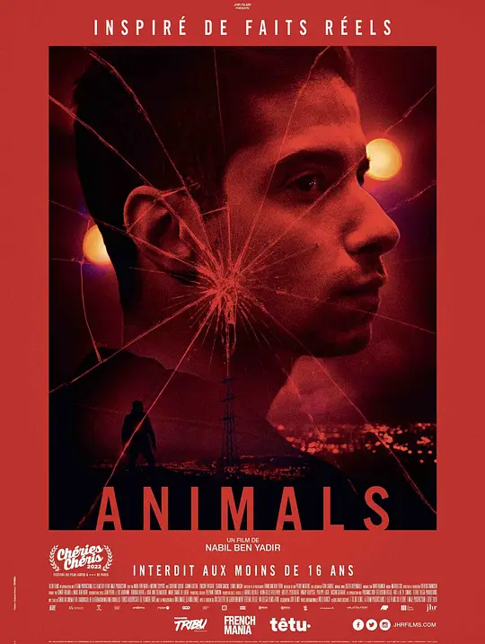 动物 Animals (2020)