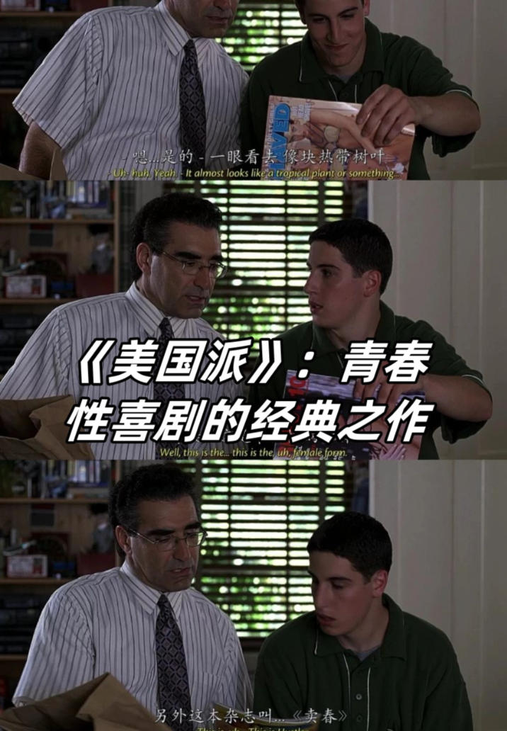 神尺度喜剧:美国派9部合集