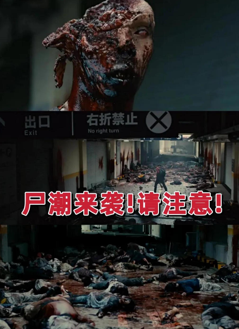 1TB丧尸片影视剧超全大合集