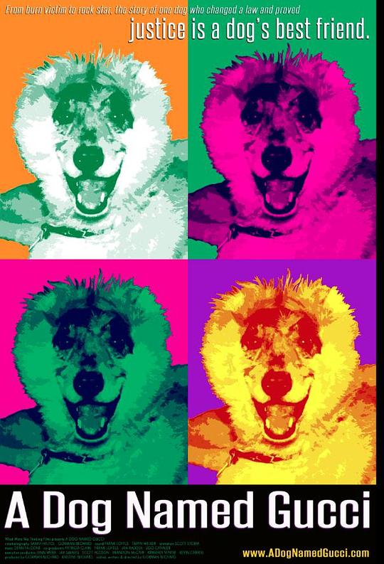 A Dog Named Gucci