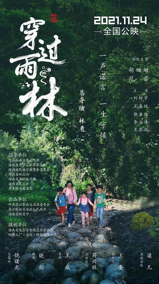 穿过雨林