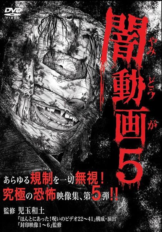 黑暗视频5